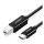 Kabel UGREEN US241 Kabel USB 2.0 C-B  do drukarki 2m